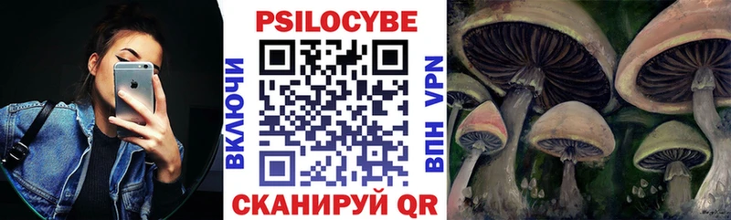 купить наркотик Новошахтинск Псилоцибиновые грибы мицелий
