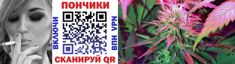 Канабис гибрид  Новошахтинск 